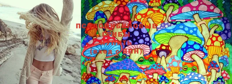 мориарти как зайти  Бирск  Псилоцибиновые грибы Magic Shrooms 